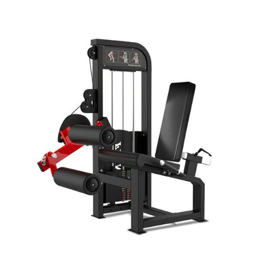 Femoral Sentado Hammer Strength